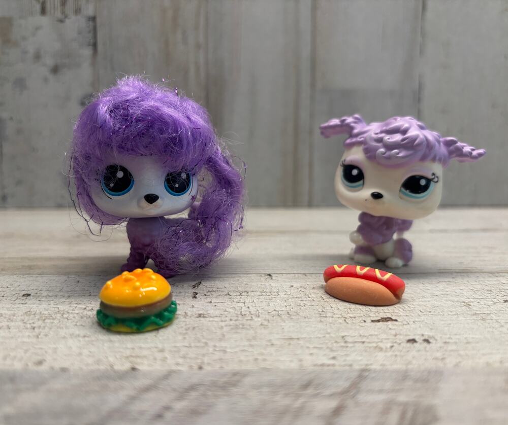 Littlest Pet Shop Puppy Dog LPS with Accessories